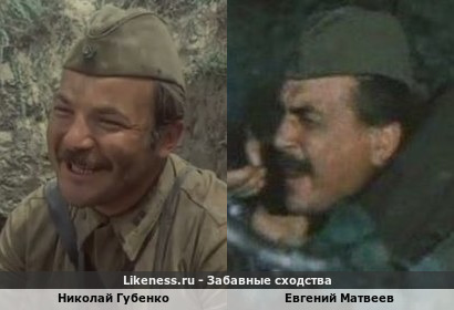 Николай Губенко похож на Евгения Матвеева