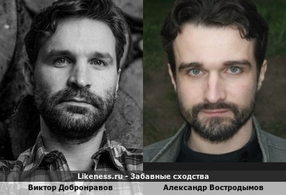 Виктор Добронравов похож на Александра Востродымова