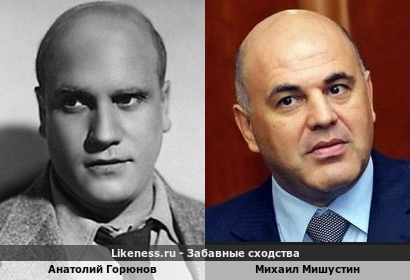 Анатолий Горюнов похож на Михаила Мишустина