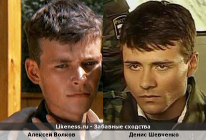 Алексей Волков похож на Дениса Шевченко