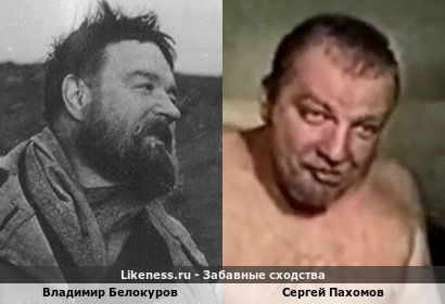 Владимир Белокуров похож на Сергея Пахомова