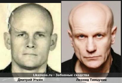 Дмитрий Уткин похож на Леонида Тимцуника