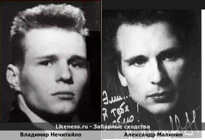 Владимир Нечитайло похож на Александра Малинина