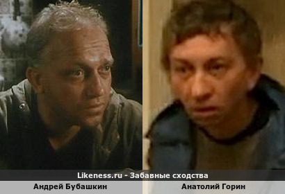 Андрей Бубашкин похож на Анатолия Горина
