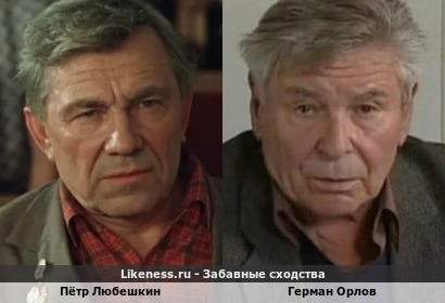 Пётр Любешкин похож на Германа Орлова