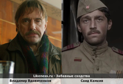 Владимир Вдовиченков похож на Саида Камкию