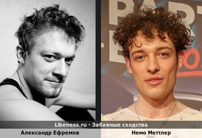 Александр Ефремов похож на Немо Меттлера