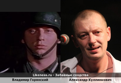 Владимир Горянский похож на Александра Куллинковича
