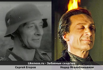 Сергей Егоров похож на Нодара Мгалоблишвили