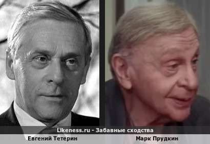 Евгений Тетерин похож на Марка Прудкина