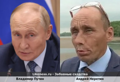 Владимир Путин похож на Андрея Неретина