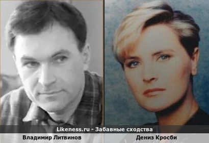 Владимир Литвинов похож на Дениз Кросби
