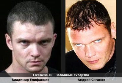 Владимир Епифанцев похож на Андрея Сиганова