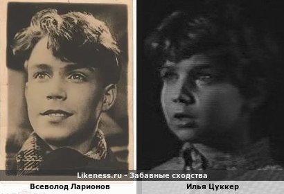 Всеволод Ларионов похож на Илью Цуккера