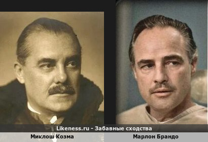 Миклош Козма похож на Марлона Брандо