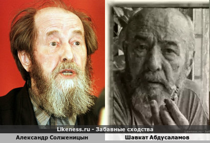 Александр Солженицын похож на Шавката Абдусаламова