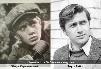 Жора Стремовский похож на Януша Гайоса