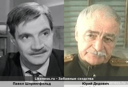 Павел Шпрингфельд похож на Юрия Дедовича