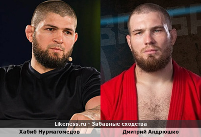 Хабиб Нурмагомедов похож на Дмитрия Андрюшко