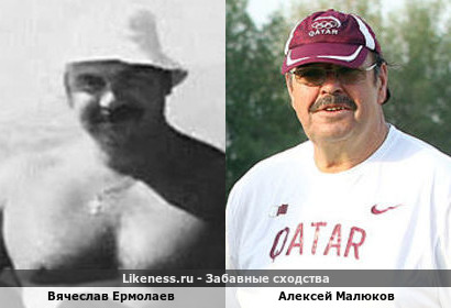 Вячеслав Ермолаев похож на Алексея Малюкова