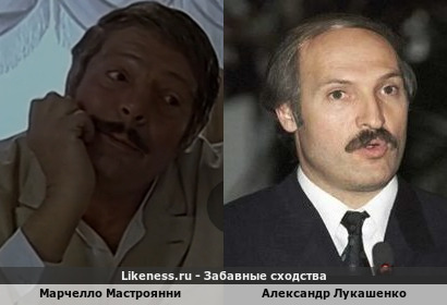 Марчелло Мастроянни похож на Александра Лукашенко