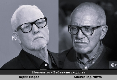 Юрий Мороз похож на Александра Митту