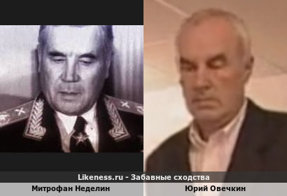Митрофан Неделин похож на Юрия Овечкина