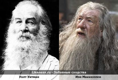Уолт Уитман похож на Иэна Маккеллена