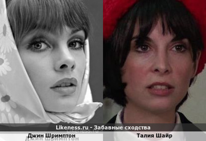 Джин Шримптон похожа на Талию Шайр