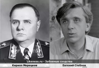 Кирилл Мерецков похож на Евгения Стеблова