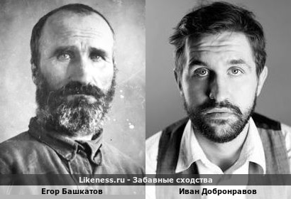 Егор Башкатов похож на Ивана Добронравова