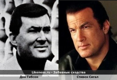 Дон Гибсон похож на Стивена Сигала