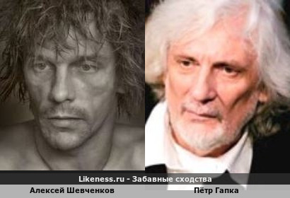 Алексей Шевченков похож на Петра Гапку