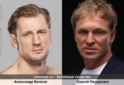 Александр Волков похож на Сергея Писаренко