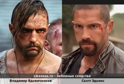 Владимир Вдовиченков похож на Скотта Эдкинса