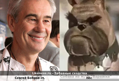 Сергей Бобров ст. напоминает пса из м/ф "Варежка"