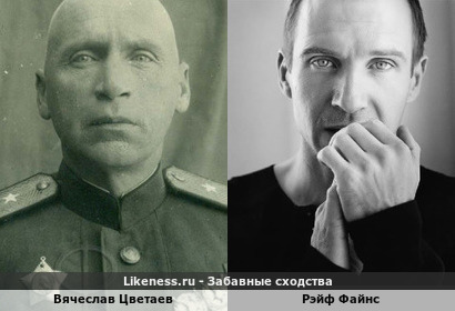 Вячеслав Цветаев напоминает Рэйфа Файнса