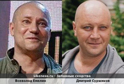 Всеволод Емелин похож на Дмитрия Суржикова