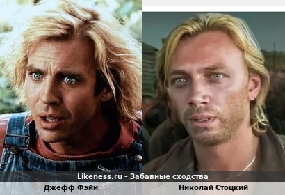 Джефф Фэйи похож на Николая Стоцкого