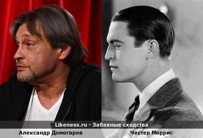 Александр Домогаров похож на Честера Морриса