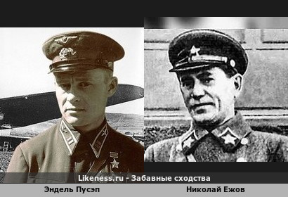 Эндель Пусэп похож на Николая Ежова