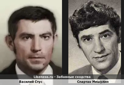 Василий Стус похож на Спартака Мишулина