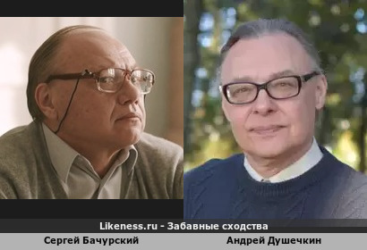 Сергей Бачурский похож на Андрея Душечкина