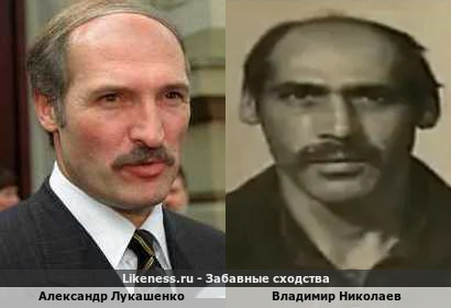 Александр Лукашенко похож на Владимира Николаева