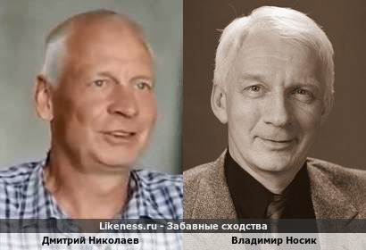 Дмитрий Николаев похож на Владимира Носика