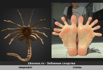 Лицехват напоминает стопы