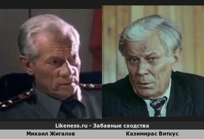 Михаил Жигалов похож на Казимираса Виткуса