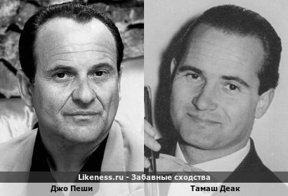 Джо Пеши похожа на Тамаша Деака