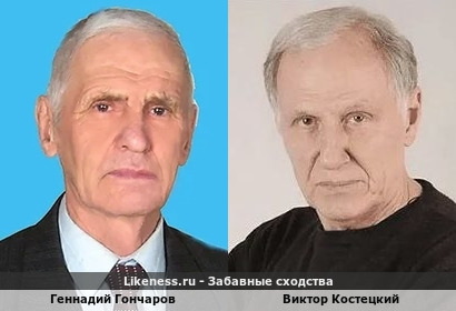 Геннадий Гончаров похож на Виктора Костецкого