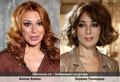 Алена Апина похожа на Зеррин Текиндор